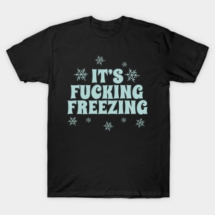 It's Fucking Freezing Funny Winter Weather Alert T-Shirt